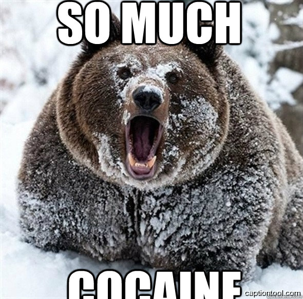 SO Much Cocaine - SO Much Cocaine  BEARKILLMEME