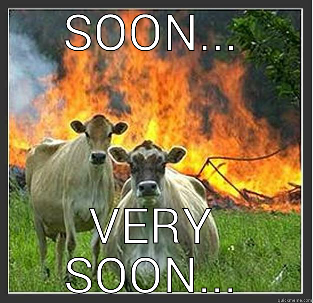 SOON... VERY SOON... - SOON... VERY SOON... Evil cows