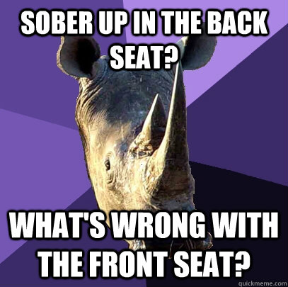 Sober up in the back seat? What's wrong with the front seat?  Sexually Oblivious Rhino