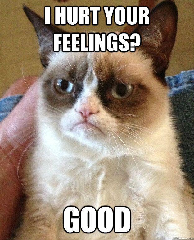 I hurt your feelings? good   Grumpy Cat