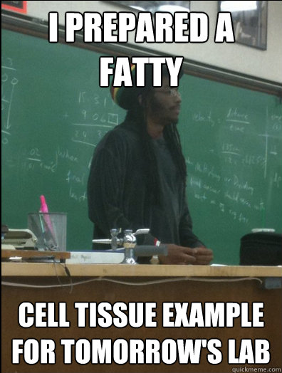 i PREPARED A FATTY CELL TISSUE EXAMPLE FOR TOMORROW'S LAB - i PREPARED A FATTY CELL TISSUE EXAMPLE FOR TOMORROW'S LAB  Rasta Science Teacher