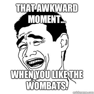 That awkward moment... When you like The Wombats. - That awkward moment... When you like The Wombats.  Meme