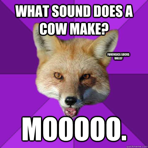 what sound does a cow make? Mooooo. Forensics sucks balls!  Forensics Fox