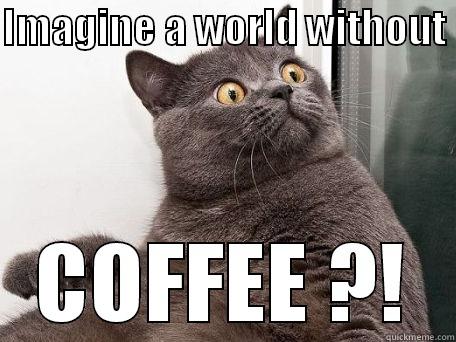 IMAGINE A WORLD WITHOUT  COFFEE ?! conspiracy cat