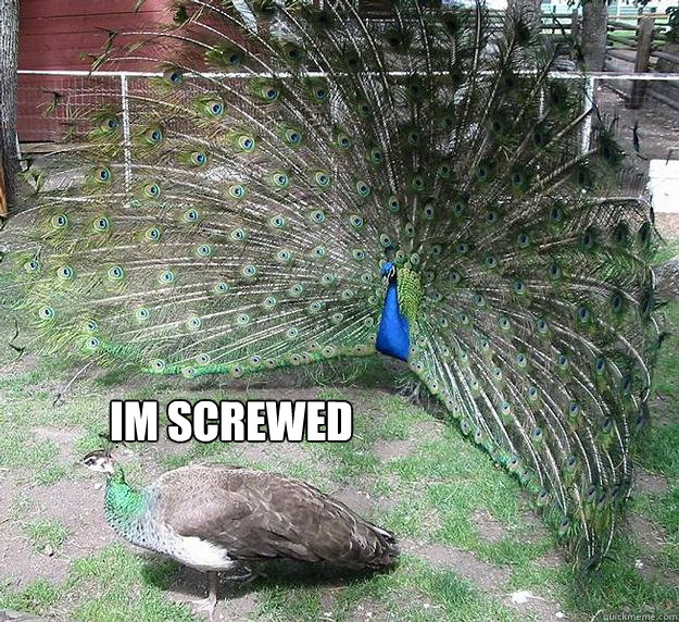 Im screwed  Peacocks fail