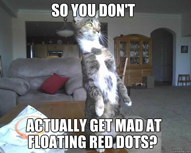 SO YOU DON'T ACTUALLY GET MAD AT FLOATING RED DOTS? - SO YOU DON'T ACTUALLY GET MAD AT FLOATING RED DOTS?  Disbelief Cat