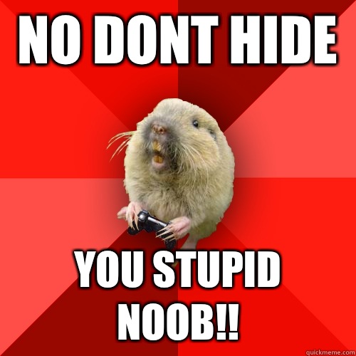 NO DONT HIDE  YOU STUPID NOOB!!  Gaming Gopher