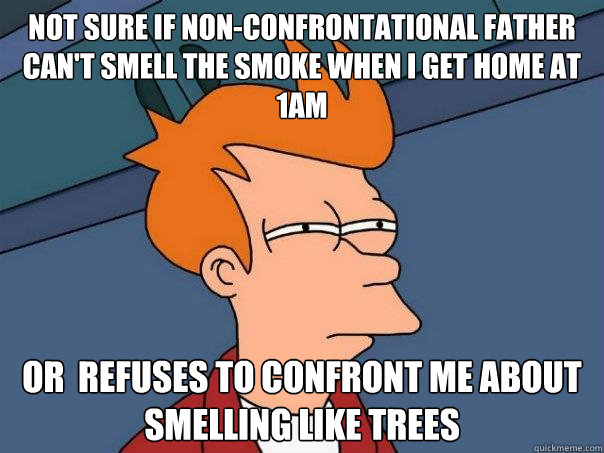 Not sure if non-confrontational father can't smell the smoke when i get home at 1am Or  refuses to confront me about smelling like trees  Futurama Fry