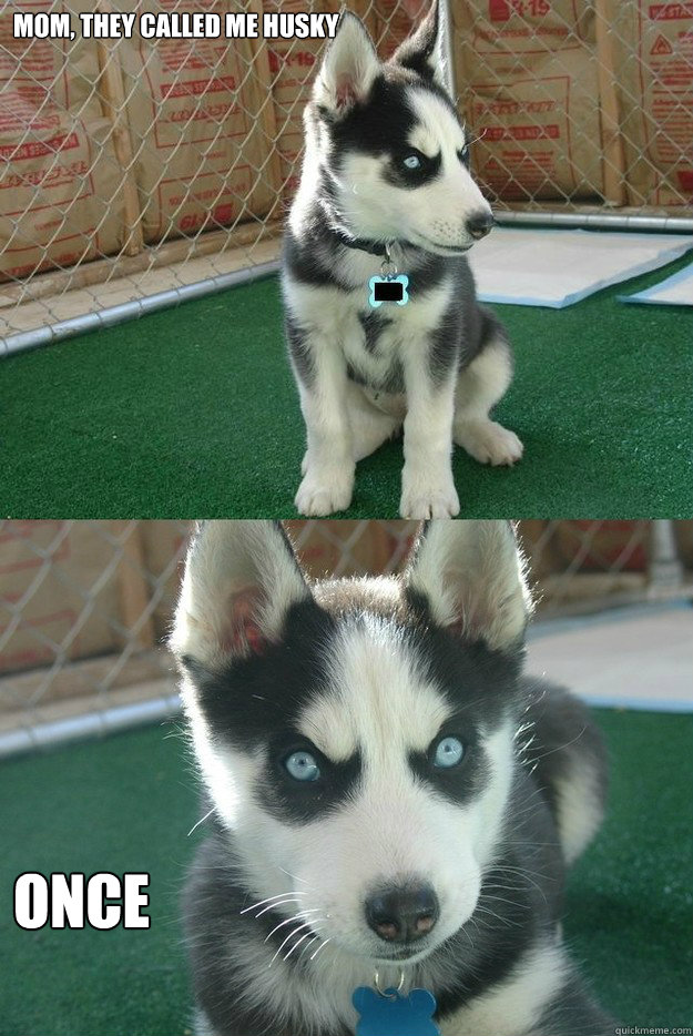 Mom, they called me Husky once  Insanity puppy