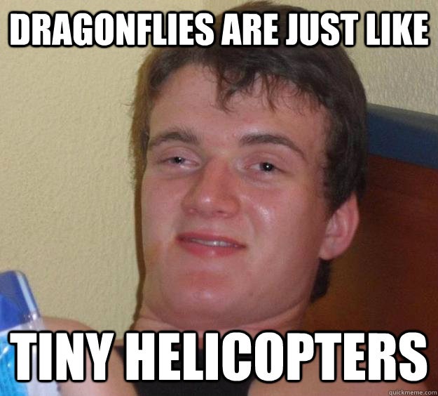 Dragonflies are just like tiny helicopters - Dragonflies are just like tiny helicopters  10 Guy