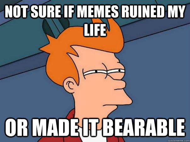 Not sure if memes ruined my life  Or made it bearable  Futurama Fry