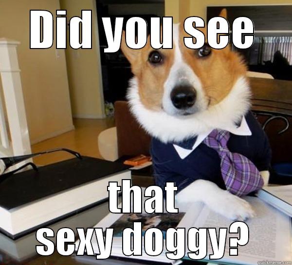 DID YOU SEE THAT SEXY DOGGY? Lawyer Dog