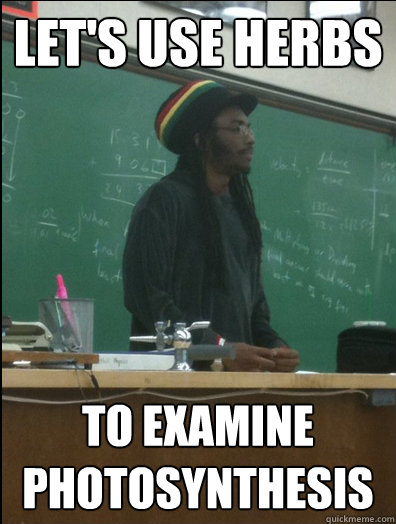 Let's use herbs to examine photosynthesis  Rasta Science Teacher