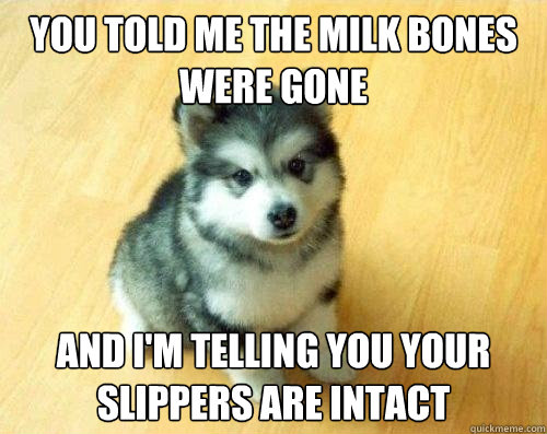 you told me the milk bones were gone and i'm telling you your slippers are intact  Baby Courage Wolf