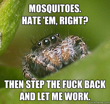 MOSQUITOES.
Hate 'em, right? Then step the FUCK back
and let me work. - MOSQUITOES.
Hate 'em, right? Then step the FUCK back
and let me work.  Misunderstood Spider