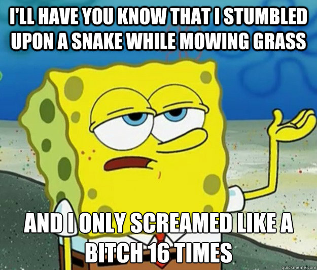 I'll have you know that i stumbled upon a snake while mowing grass and i only screamed like a bitch 16 times  Tough Spongebob