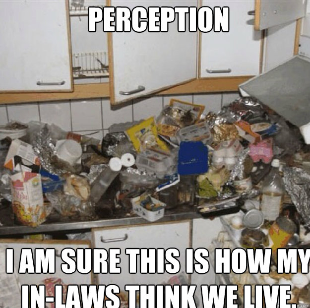 perception i am sure this is how my in-laws think we live.  