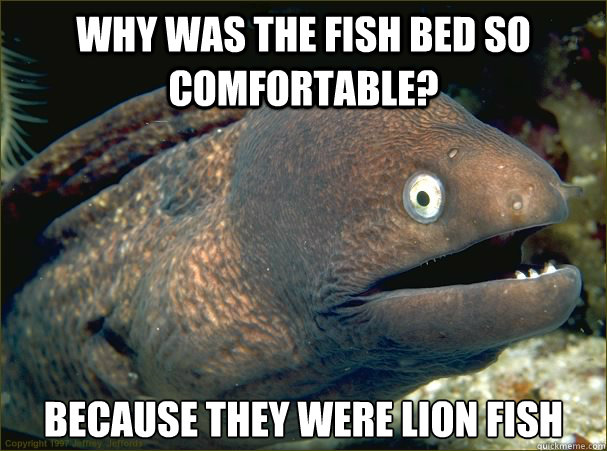 Why was the fish bed so comfortable? Because they were lion fish - Why was the fish bed so comfortable? Because they were lion fish  Bad Joke Eel