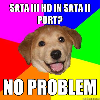 SATA III HD in SATA II port? No Problem  Advice Dog