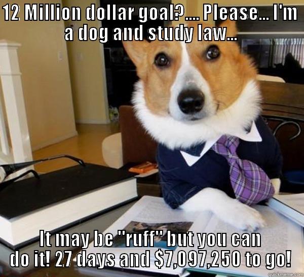 12 MILLION DOLLAR GOAL?.... PLEASE... I'M A DOG AND STUDY LAW... IT MAY BE 