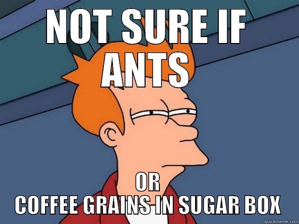 NOT SURE IF ANTS OR COFFEE GRAINS IN SUGAR BOX Futurama Fry