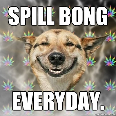 spill bong everyday.  Stoner Dog