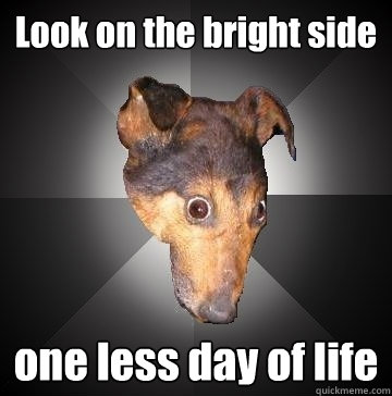 Look on the bright side one less day of life  Depression Dog