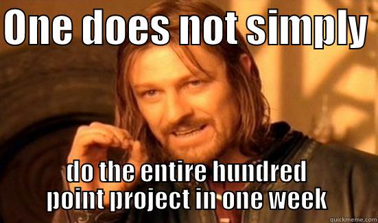 ONE DOES NOT SIMPLY  DO THE ENTIRE HUNDRED POINT PROJECT IN ONE WEEK Boromir