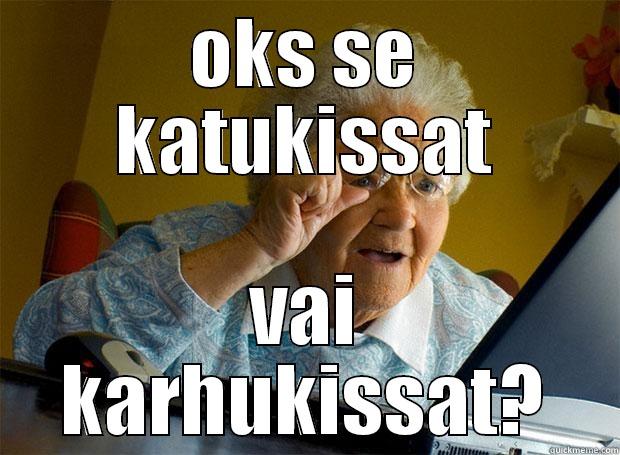 OKS SE KATUKISSAT VAI KARHUKISSAT? Grandma finds the Internet