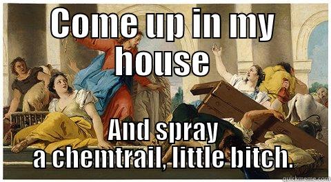 COME UP IN MY HOUSE AND SPRAY A CHEMTRAIL, LITTLE BITCH. Misc