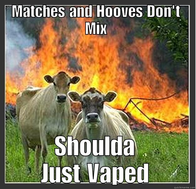 MATCHES AND HOOVES DON'T MIX SHOULDA JUST VAPED Evil cows