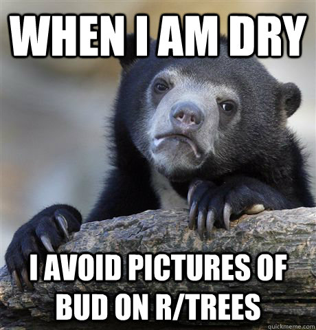 When i am dry I avoid pictures of bud on r/trees  Confession Bear