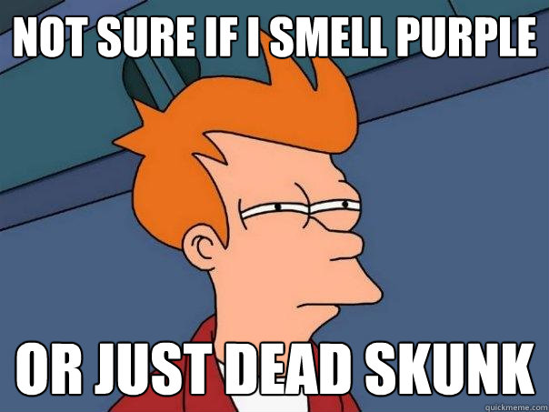 not sure if i smell purple or just dead skunk - not sure if i smell purple or just dead skunk  Futurama Fry