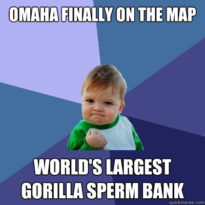 Omaha finally on the map World's largest gorilla sperm bank  Success Kid