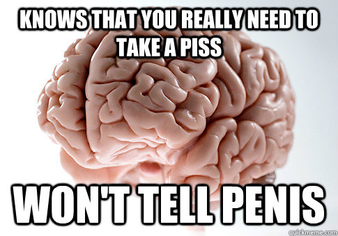 KNOWS THAT YOU REALLY NEED TO TAKE A PISS  WON'T TELL PENIS  Scumbag Brain