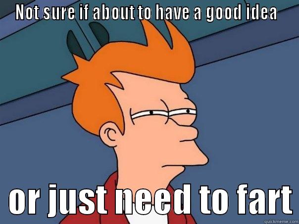 NOT SURE IF ABOUT TO HAVE A GOOD IDEA    OR JUST NEED TO FART Futurama Fry