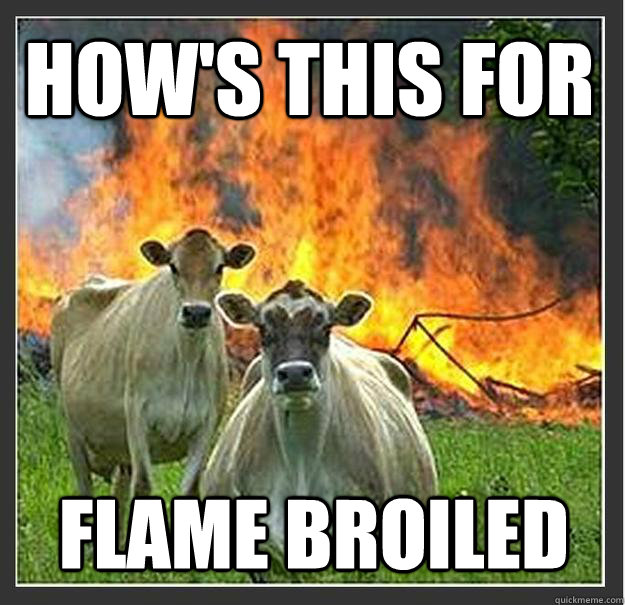 how's this for  flame broiled   Evil cows