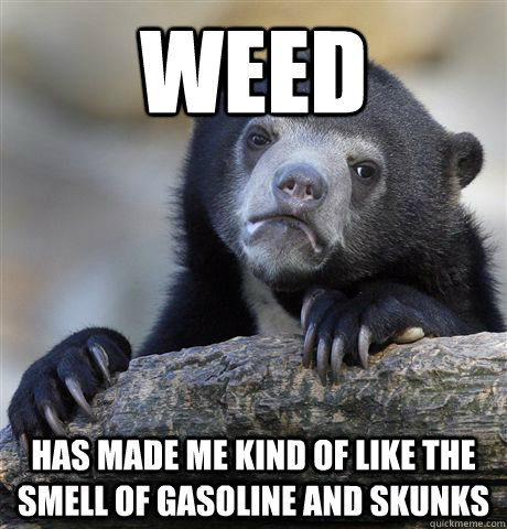 weed has made me kind of like the smell of gasoline and skunks - weed has made me kind of like the smell of gasoline and skunks  Confession Bear