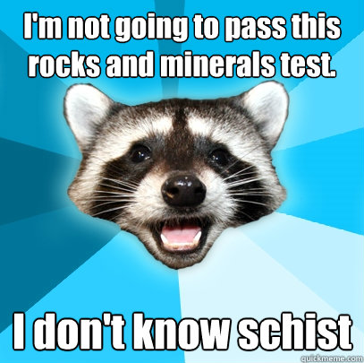 I'm not going to pass this rocks and minerals test. I don't know schist  Lame Pun Coon