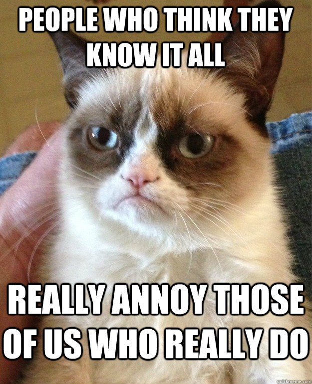 People who think they know it all Really annoy those of us who really do  Grumpy Cat