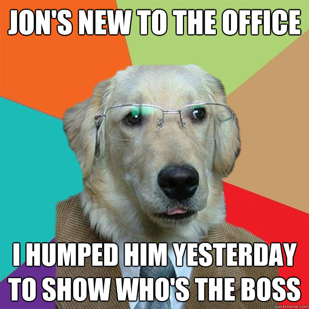 Jon's new to the office I humped him yesterday to show who's the boss - Jon's new to the office I humped him yesterday to show who's the boss  Business Dog