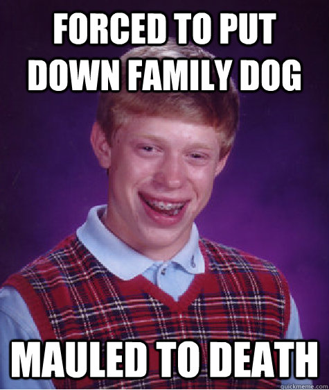 Forced to put down family dog Mauled to death  Bad Luck Brian