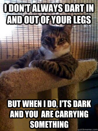 i don't always dart in and out of your legs but when I do, i'ts dark and you  are carrying something  The Most Interesting Cat in the World