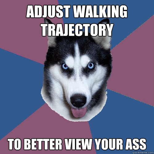 adjust walking trajectory to better view your ass - adjust walking trajectory to better view your ass  Creeper Canine