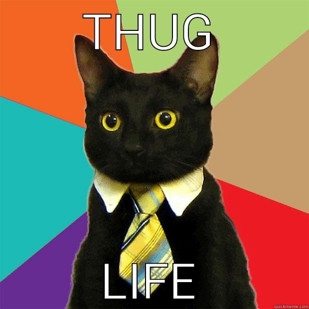 THUG LIFE Business Cat