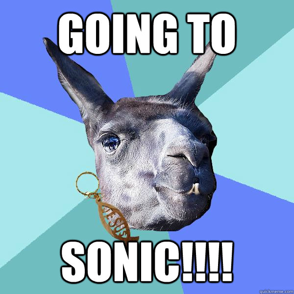 going to  sonic!!!!  Christian Mama Llama