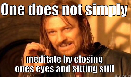 Simply meditate guy - ONE DOES NOT SIMPLY  MEDITATE BY CLOSING ONES EYES AND SITTING STILL Boromir