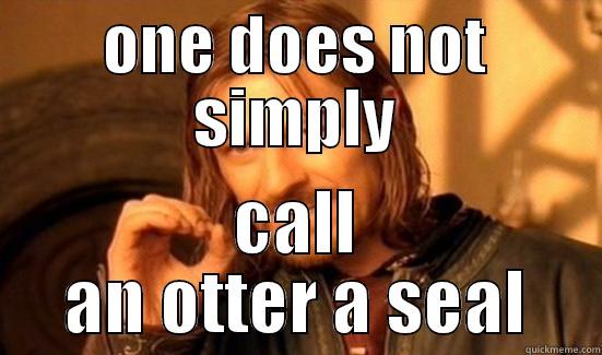 ONE DOES NOT SIMPLY CALL AN OTTER A SEAL Boromir