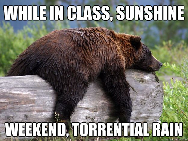 While in class, Sunshine Weekend, Torrential Rain - While in class, Sunshine Weekend, Torrential Rain  Bad News Bear