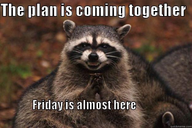 THE PLAN IS COMING TOGETHER   FRIDAY IS ALMOST HERE                                                                                                    Evil Plotting Raccoon